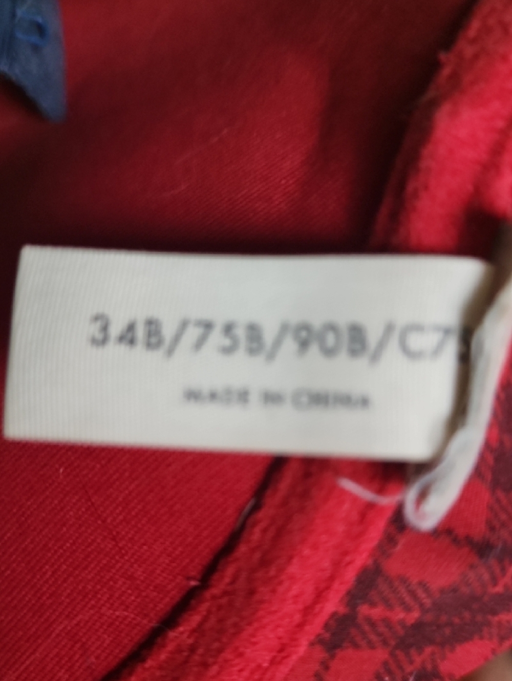 Gilly Hicks Sydney Push 'Em Up Bra - Red Plaid 34B - Picture 4 of 6